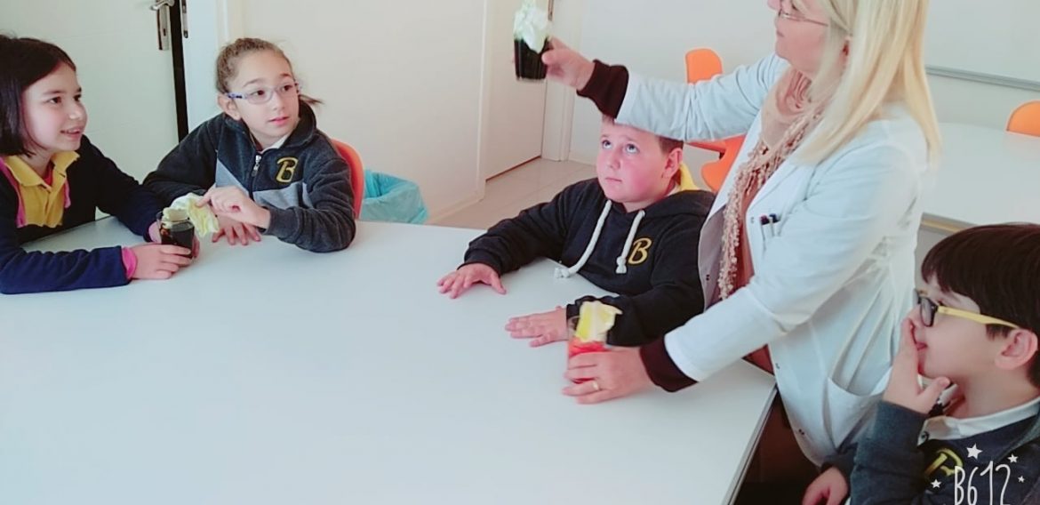 RENKLİ YAPRAKLAR DENEYİ