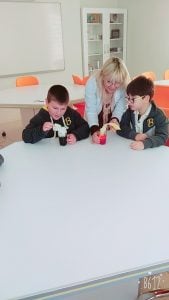 RENKLİ YAPRAKLAR DENEYİ