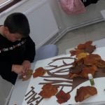 BİLGE'DE SONBAHAR COŞKUSU