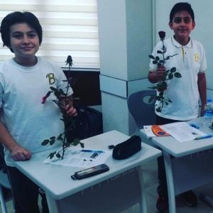 BİLGELERİMİZİN SEVGİ-BARIŞ-KARDEŞLİK TEMALI ÇALIŞMASI