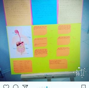 BİLGEDE BİLİM ŞENLİĞİ