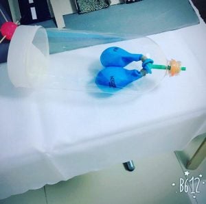 BİLGEDE BİLİM ŞENLİĞİ