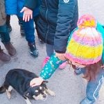 Barınak Ziyaretimiz