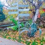 Barınak Ziyaretimiz