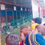 Barınak Ziyaretimiz