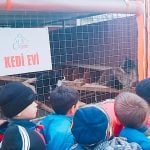 Barınak Ziyaretimiz