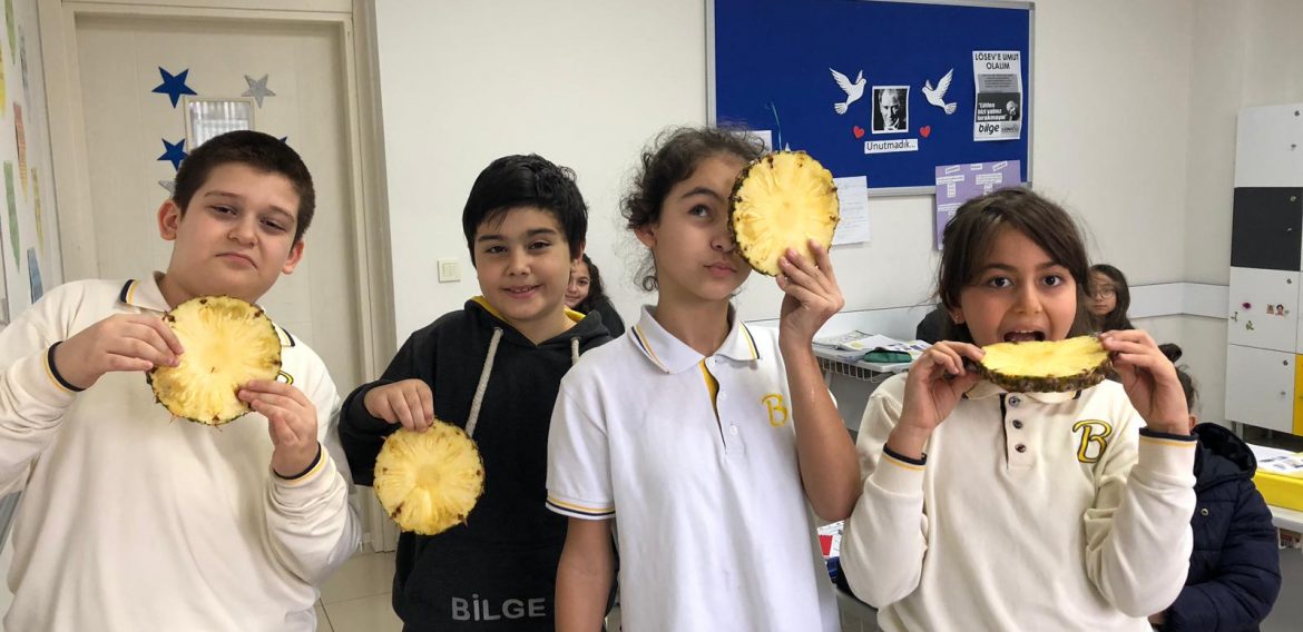 İngilizce Dersi Etkinlik