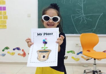 Bitkinin Bölümleri