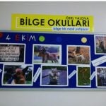 Hayvanları koruma günü