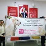 Hayvanları koruma günü