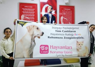 Hayvanları koruma günü