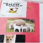 Hayvanları koruma günü